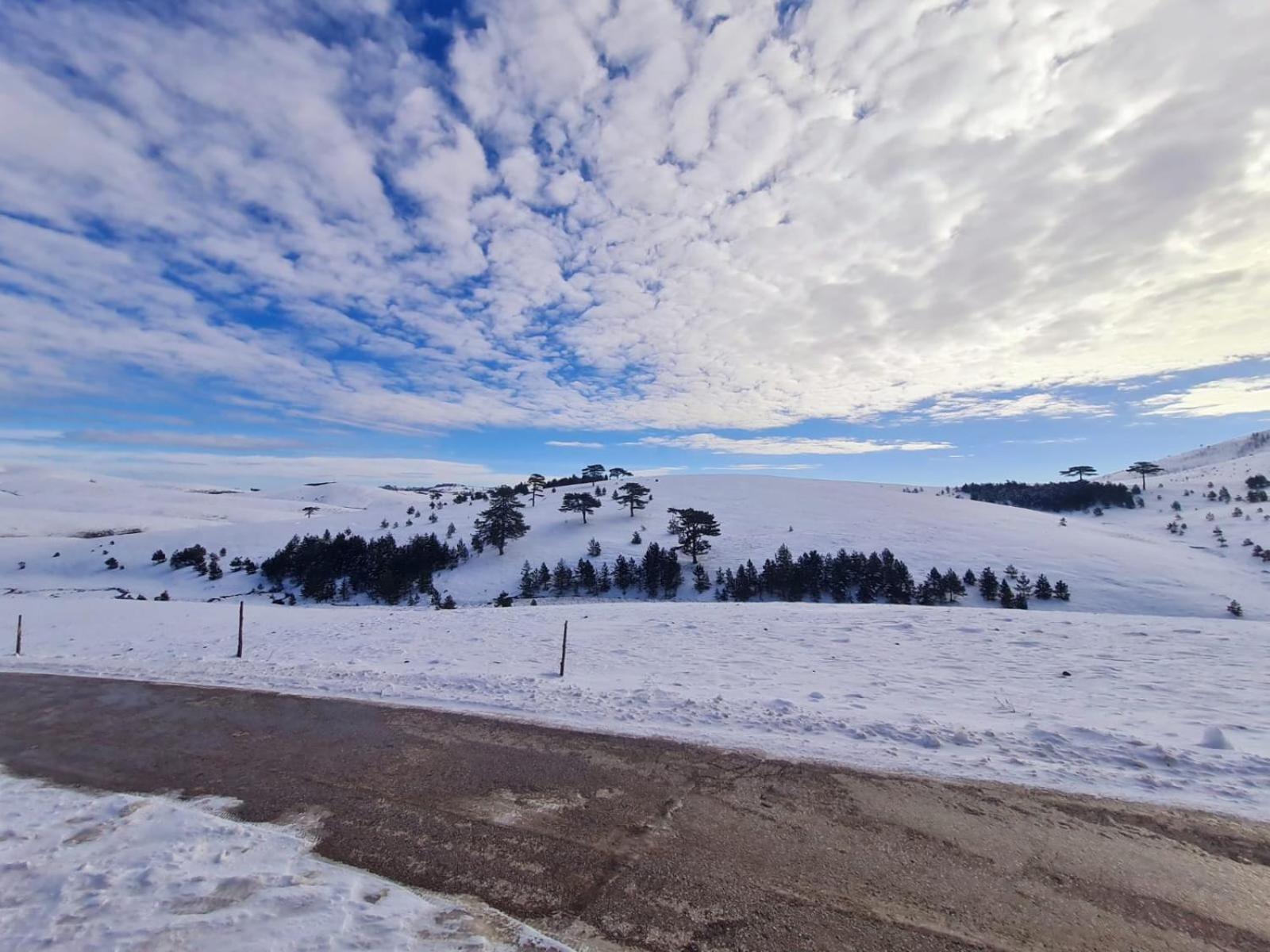 Brvnara Cigota Zlatibor Exterior foto
