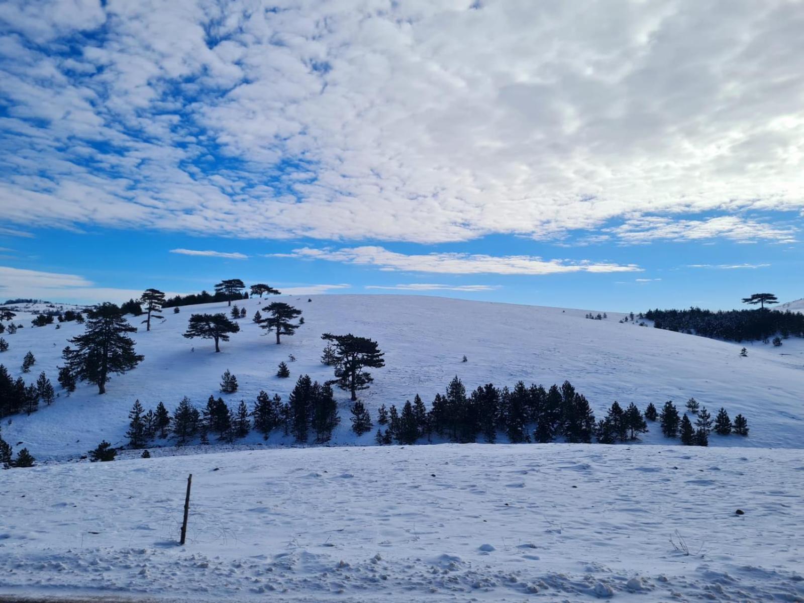 Brvnara Cigota Zlatibor Exterior foto